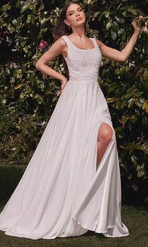 Bid Farewell To The Old Season Ladivine Bridal CDS503W - Scoop A-Line Bridal Dress